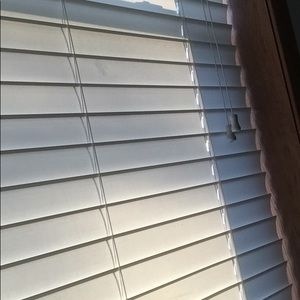 Meet your Posher, Abigail